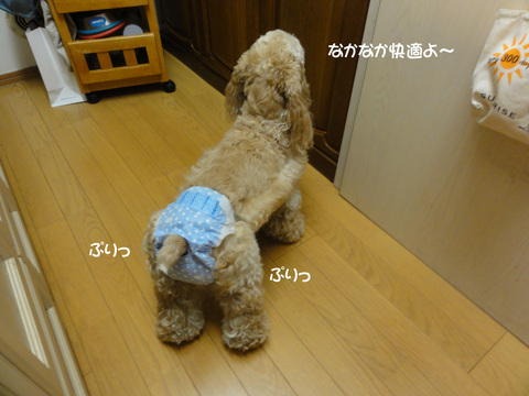 f0218182_14242740.jpg