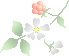 b0136683_11404689.gif