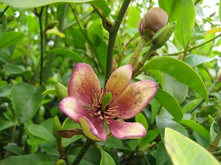 c0229483_1244441.jpg