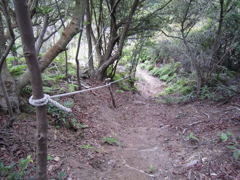 岬高校・山海人プロジェクトの準備 in 孝子の森 by (ナベサダ)_f0053885_1959333.jpg
