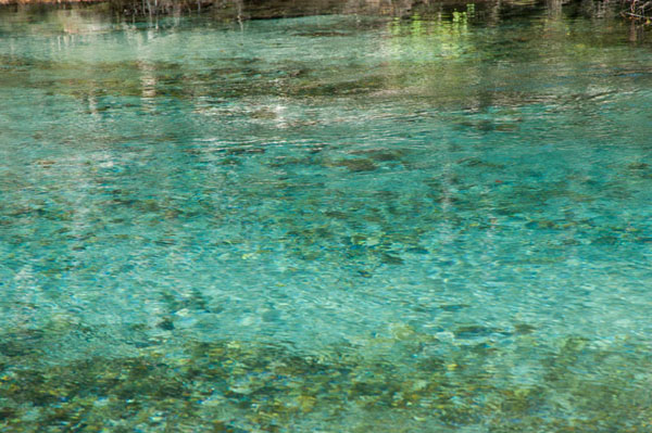c0168986_19334215.jpg