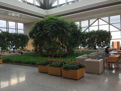 c0014187_2121257.jpg
