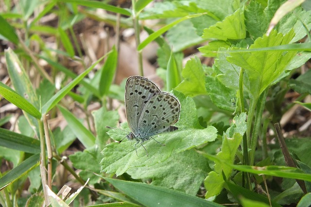 e0070891_2146371.jpg