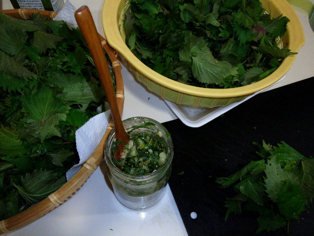 f0200795_16322452.jpg