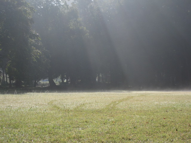 b0249296_2024036.jpg