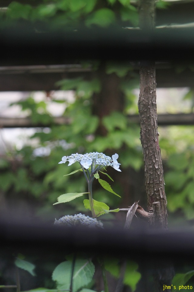 裏写真展_a0158797_22372145.jpg