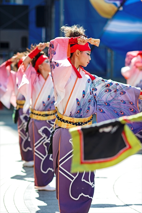 東京よさこい 迫 －HAKU_a0296897_23555820.jpg