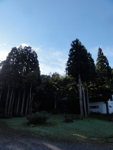 a0061599_7373468.jpg