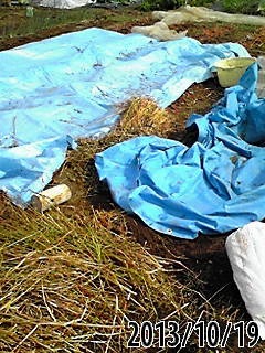 e0270403_17341357.jpg