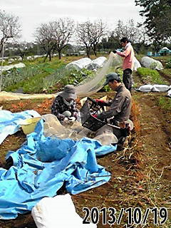 e0270403_17345265.png