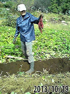 e0270403_1737079.png
