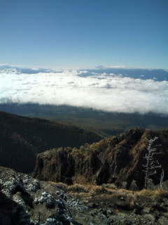 e0028904_17455180.jpg