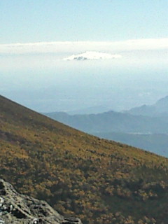 e0028904_1746178.jpg