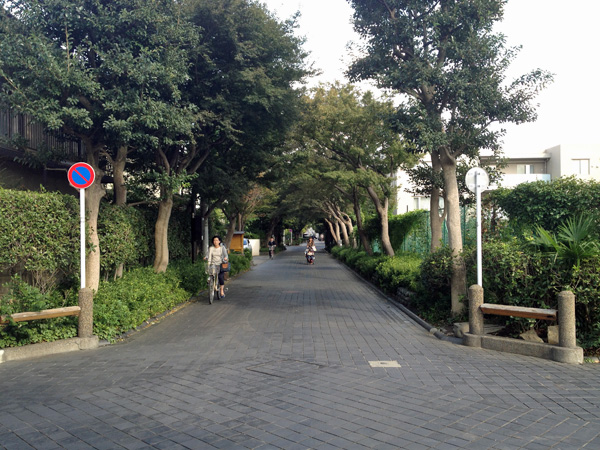 振替休日、四十肩の治療&砧公園散歩_a0000006_1452487.jpg