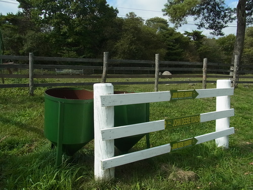 e0243008_112719.jpg