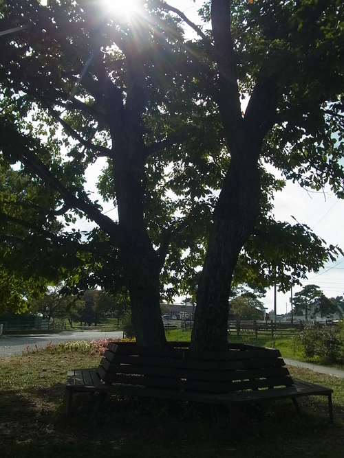 e0243008_11272334.jpg