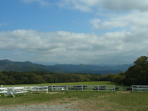 e0243008_11291093.jpg