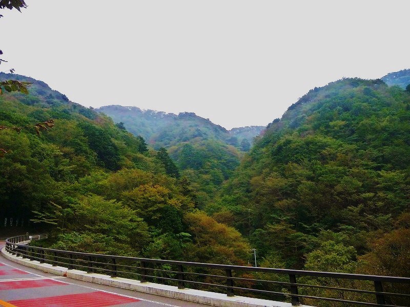 f0182513_23303991.jpg