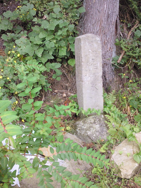 b0228416_16152912.jpg