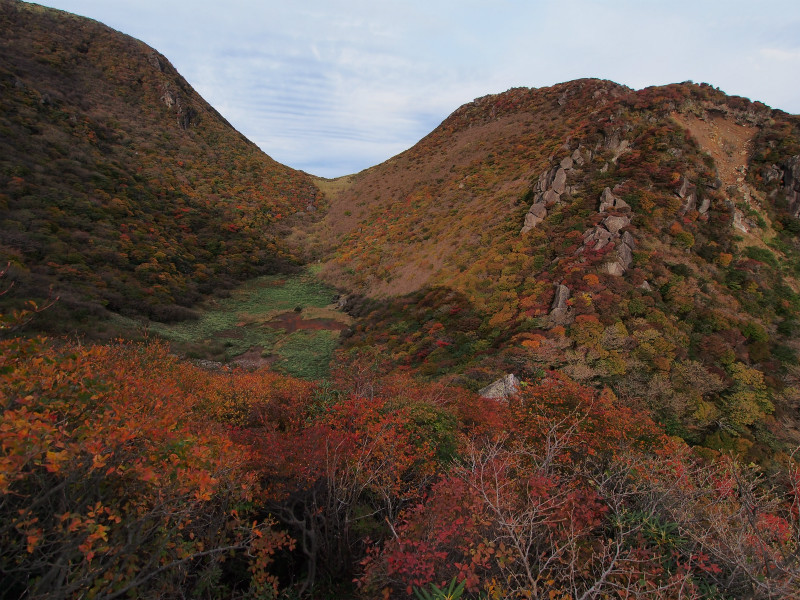 紅葉情報♪_d0177220_15282712.jpg