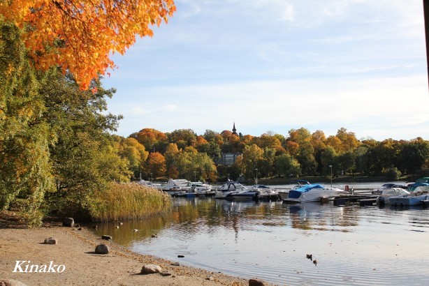 秋のユールゴーデン島２　－　Höstpromenad på Djurgården 2_e0250023_7413128.jpg