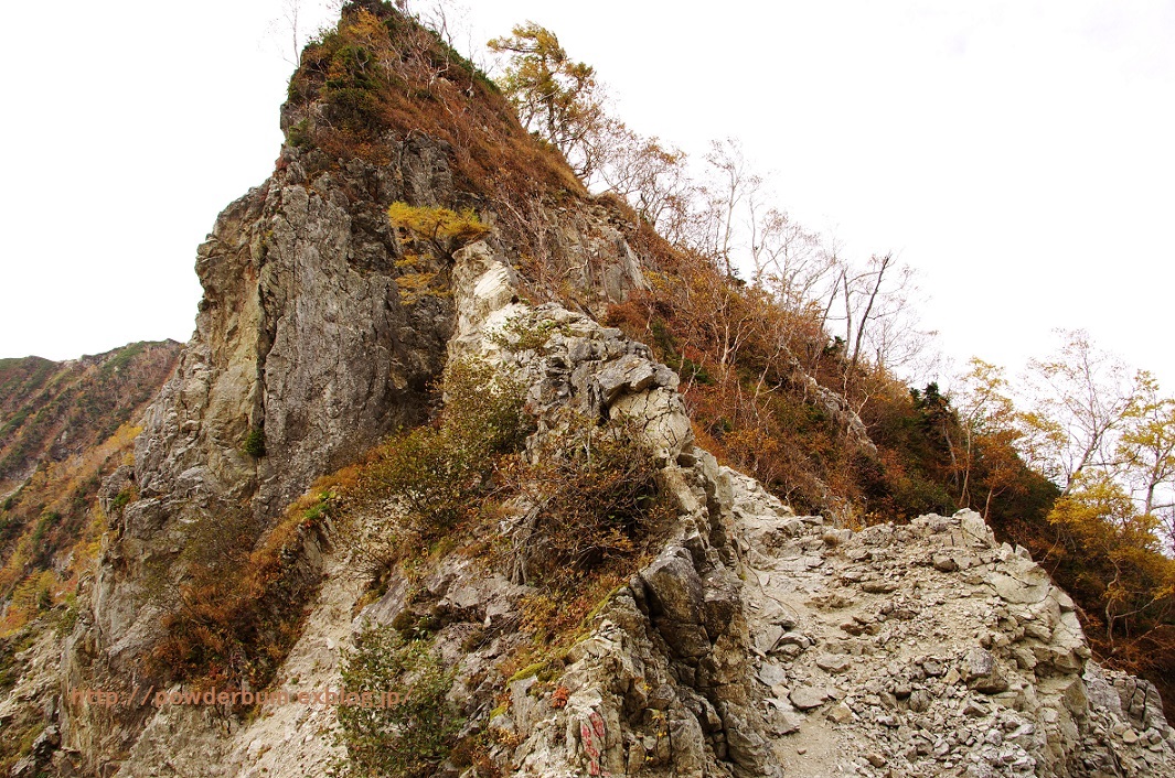 b0062024_19373050.jpg