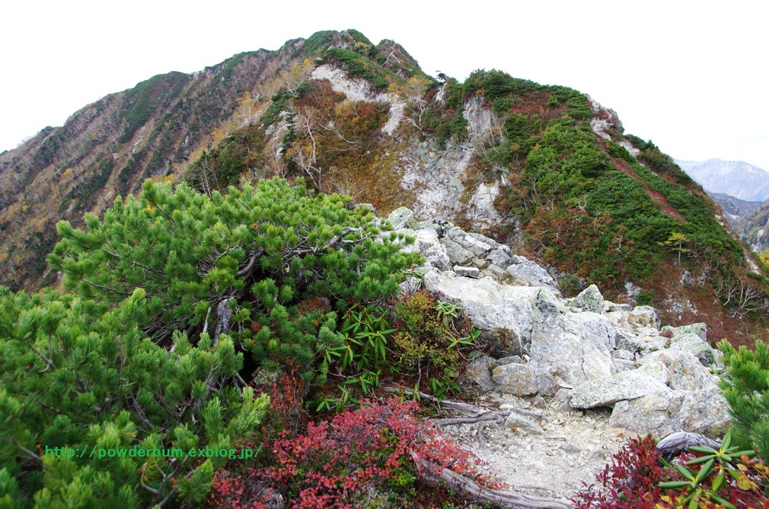 b0062024_19435892.jpg