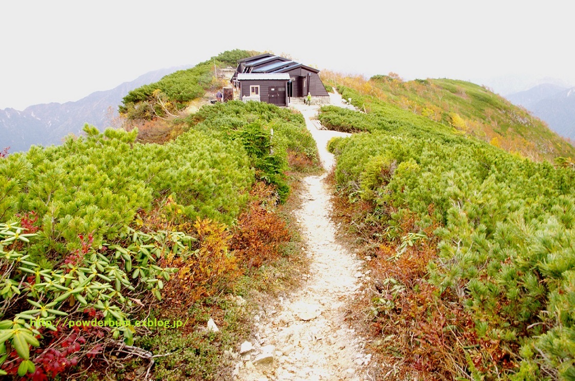 b0062024_2011424.jpg