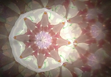 e0305824_17151097.jpg