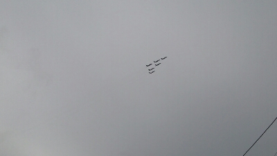 b0308627_11332322.jpg