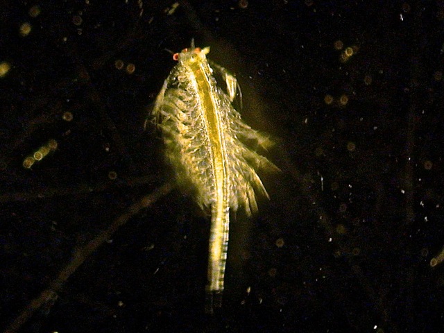 c0010727_17234451.jpg