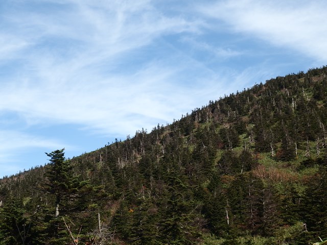 d0130927_17574010.jpg