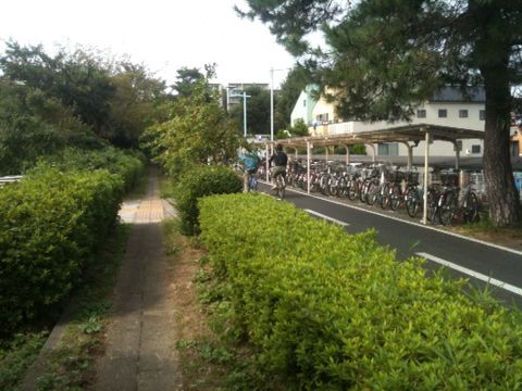 狭山 境緑道 萩山 狭山公園 10月19日 猫好き写真館