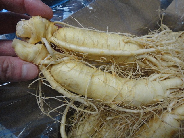 f0208737_8125689.jpg