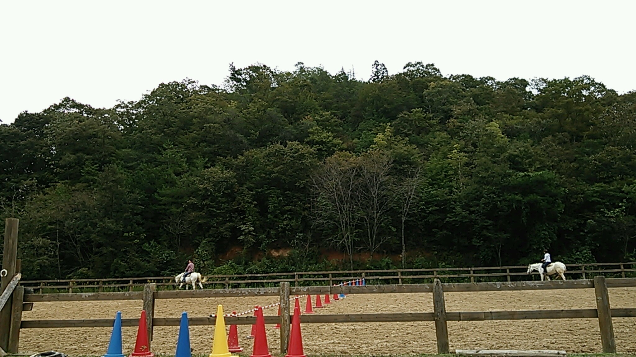 明日もいい日になります様に_e0145441_18305996.jpg