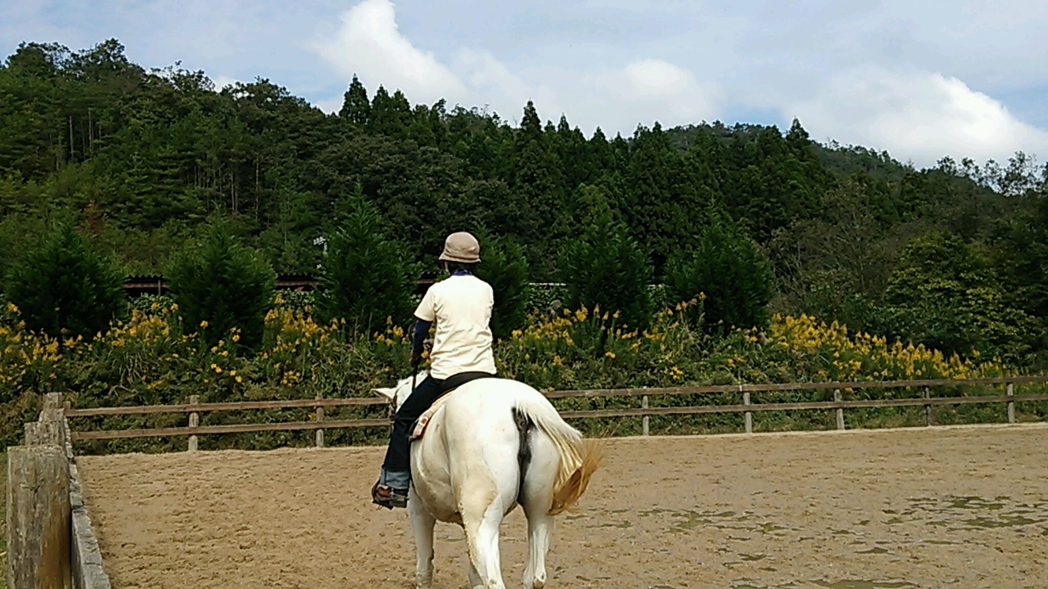 明日もいい日になります様に_e0145441_18314483.jpg