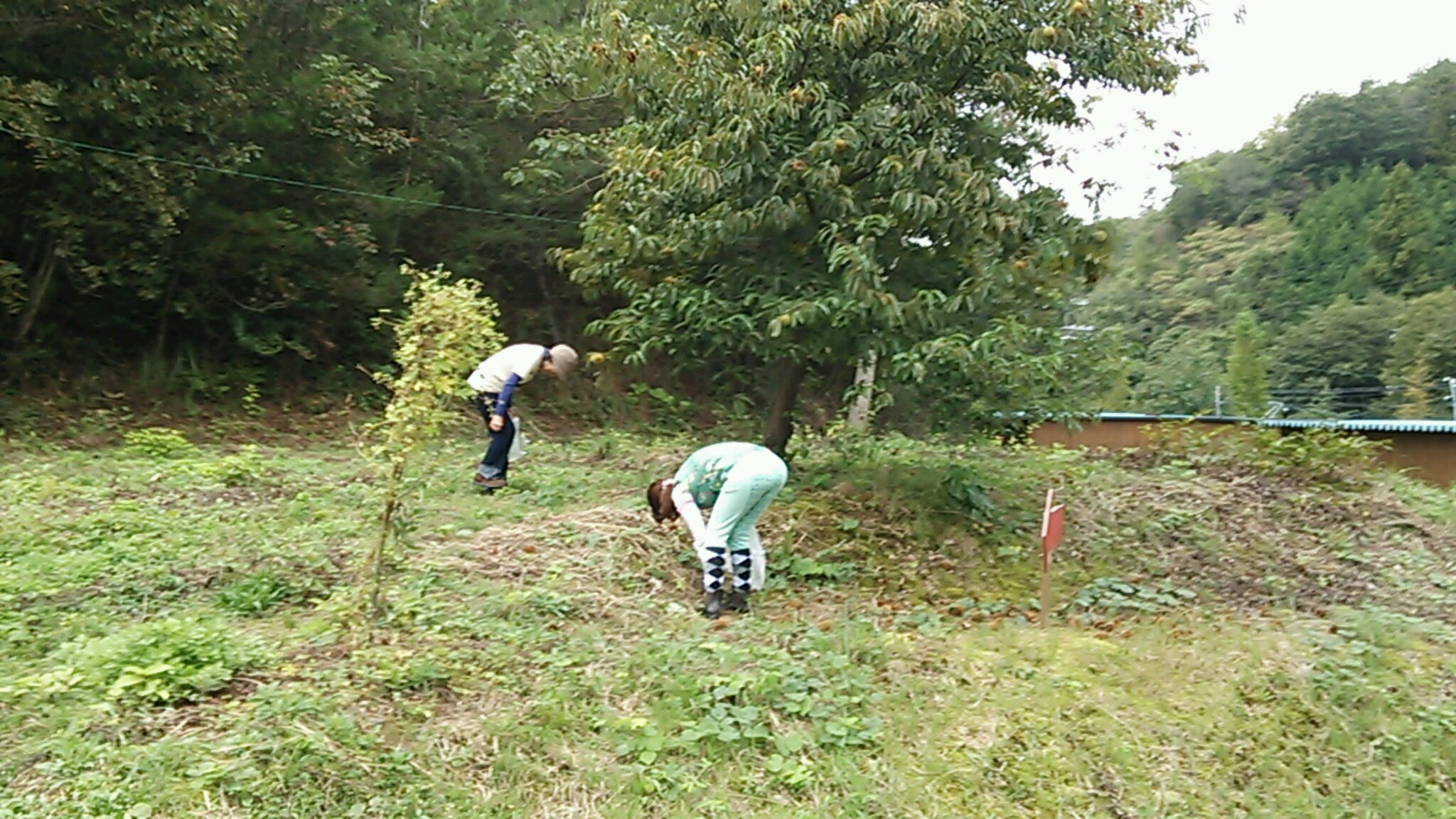 明日もいい日になります様に_e0145441_18365981.jpg