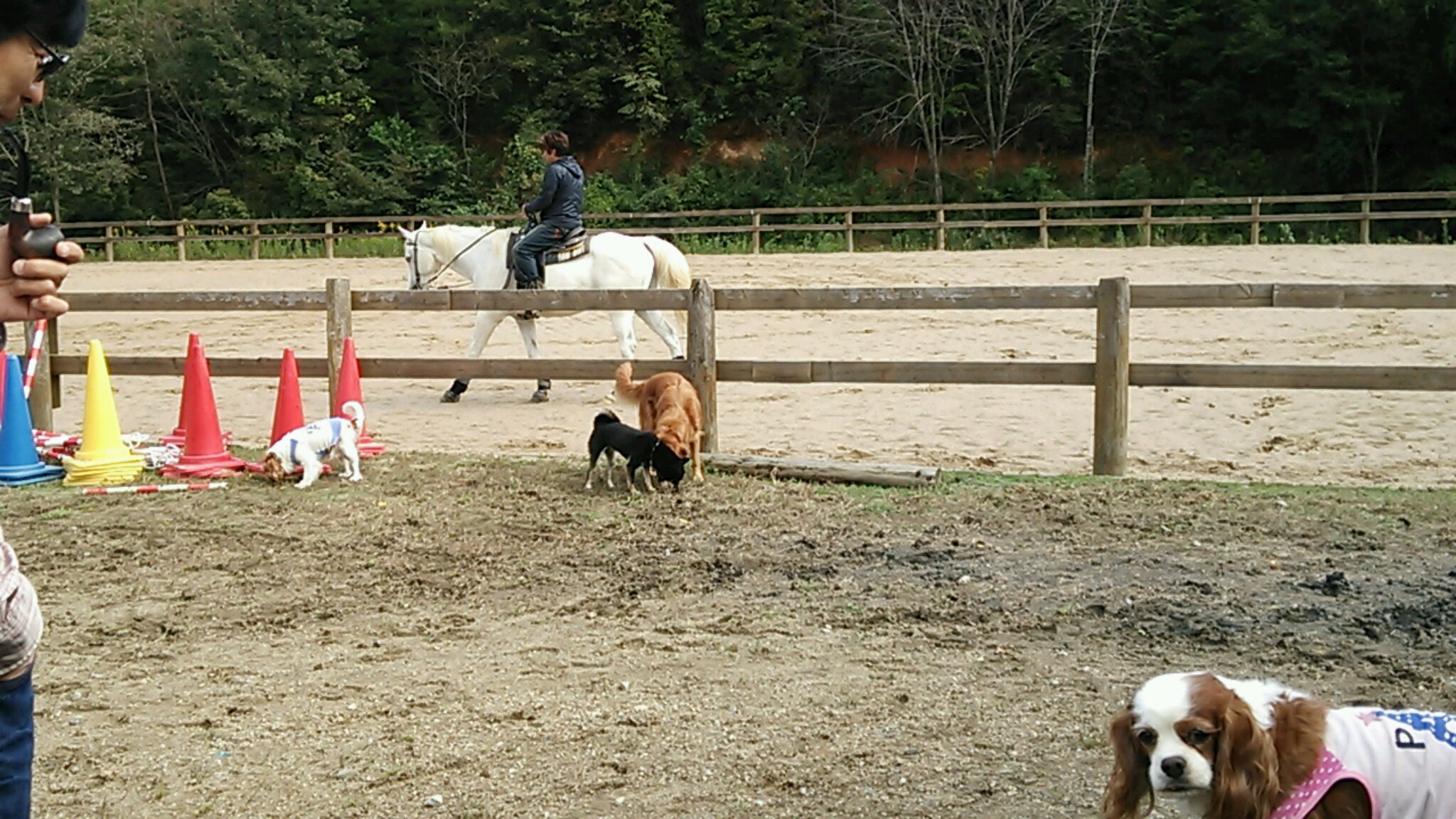 明日もいい日になります様に_e0145441_18392486.jpg