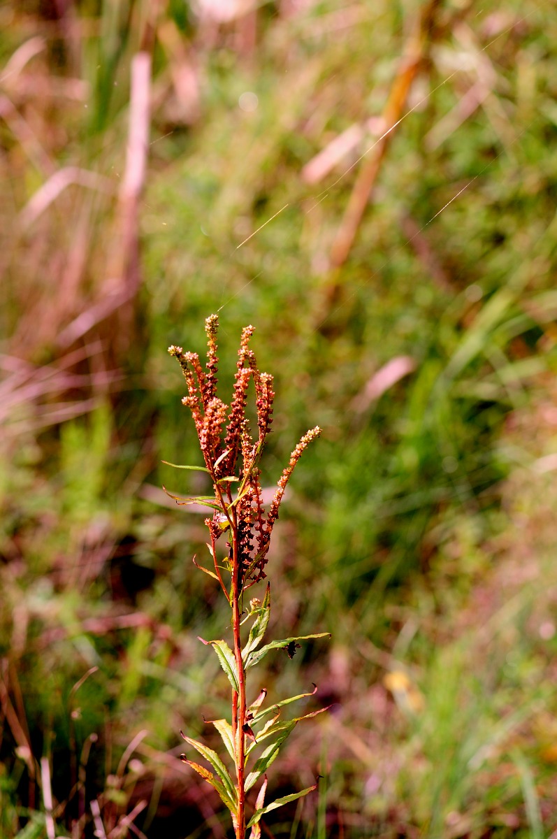 f0224648_12505375.jpg