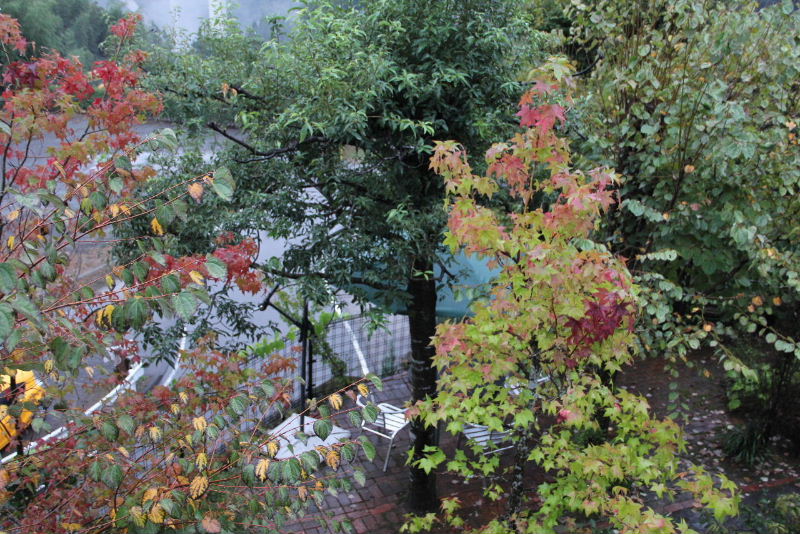 c0011649_8513050.jpg