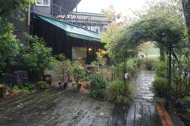 c0011649_8585930.jpg