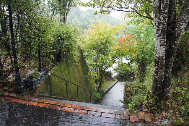 c0011649_8591632.jpg