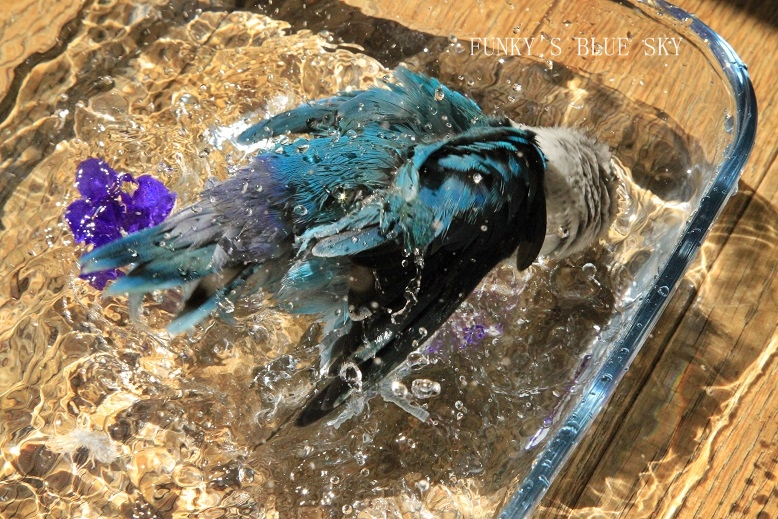c0145250_10172190.jpg