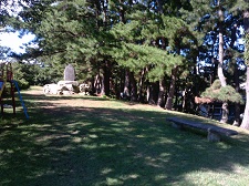 e0150250_21832.jpg