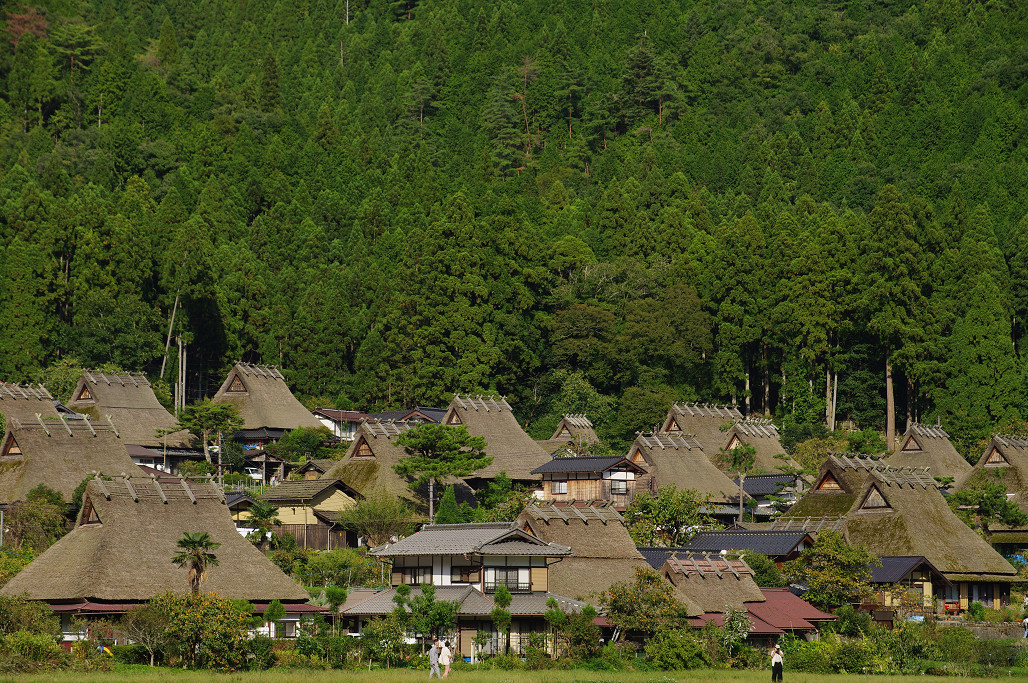 f0152550_1039524.jpg