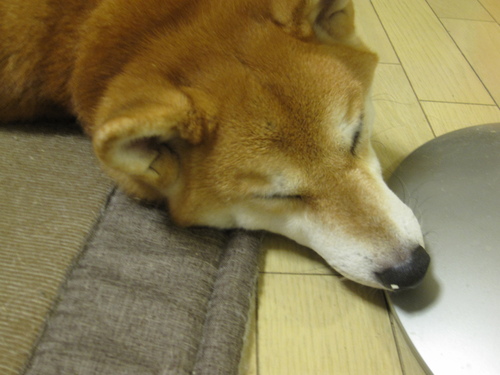 f0245650_810489.jpg