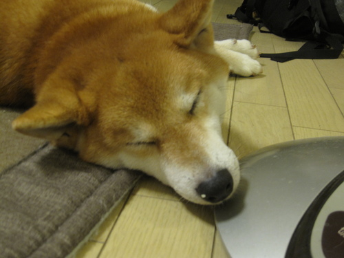 f0245650_8113169.jpg