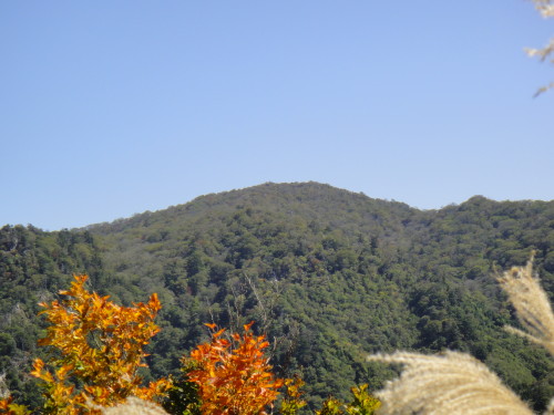 ２０１３年１０月１３日　平家山　後平家山　夫婦山　南平家山_c0179351_20471491.jpg