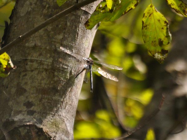 c0045352_12293150.jpg