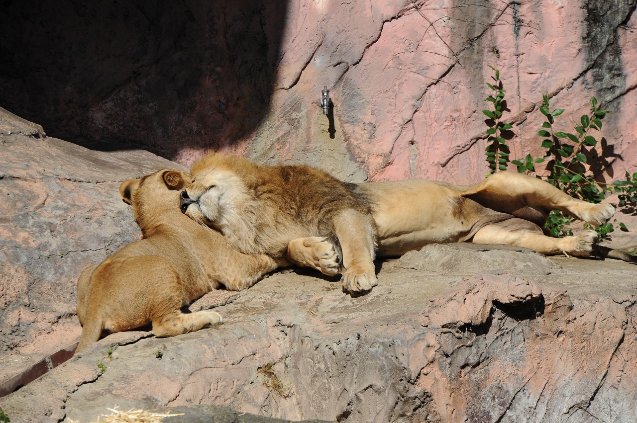 a0142056_2044137.jpg